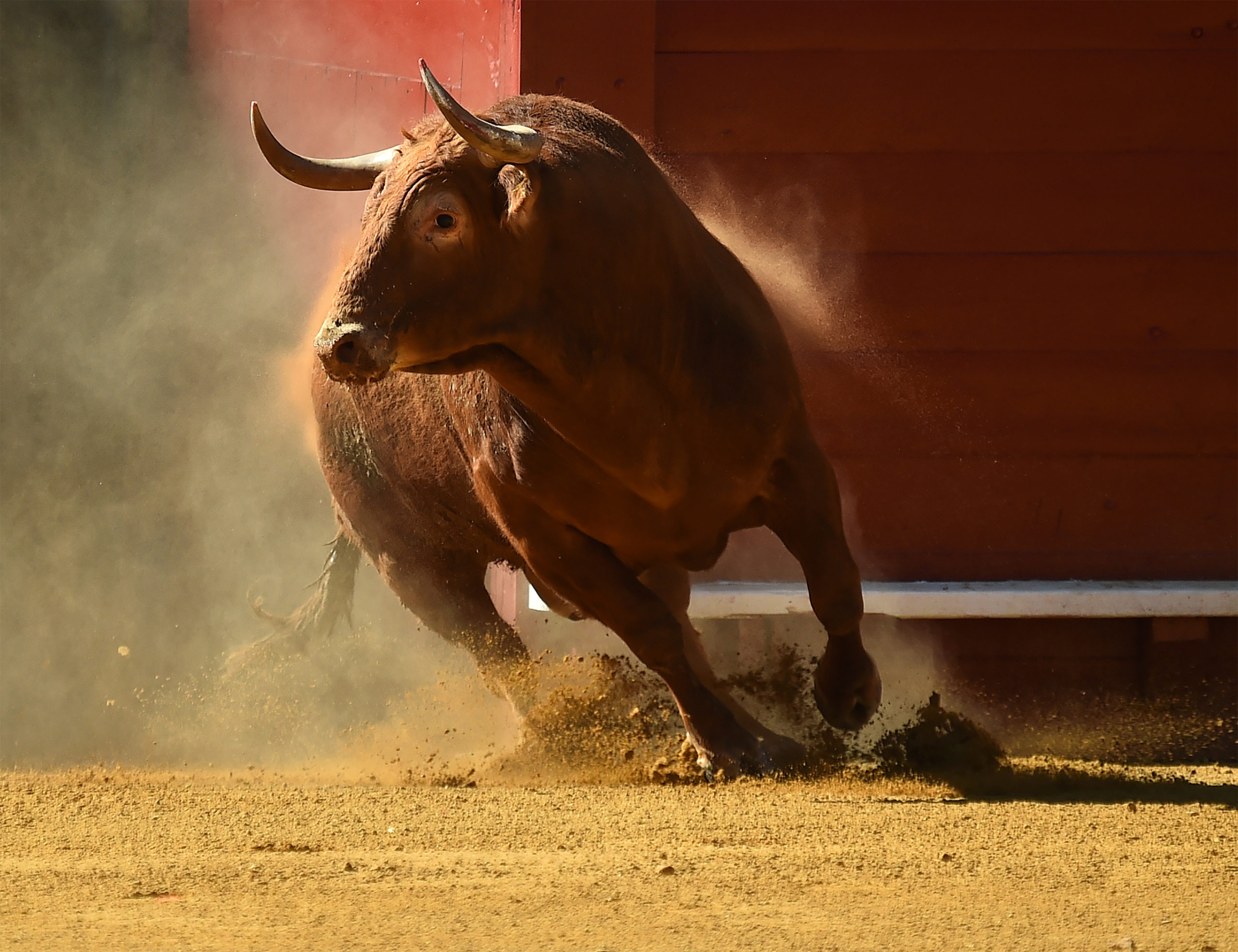 charging bull ring scaled 1 Bitcoin reclaims $21K as US dollar corrects: What analysts are saying about BTC