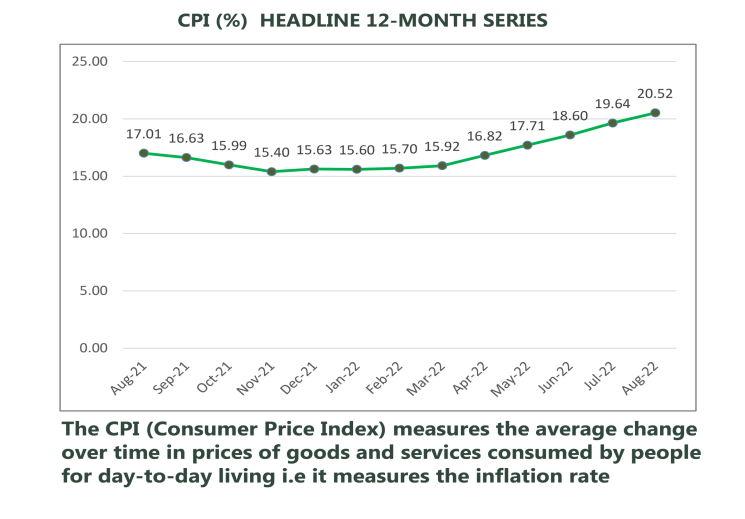 Nigerian Inflation Rate Rises to 20.52% in August — Month-on-Month Rate Drops 