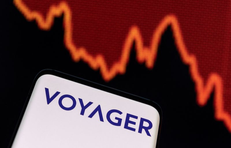 Voyager