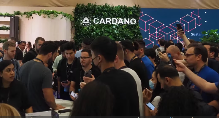 Cardano Blockchain Transactions Jumped 49% Last Quarter as ADA Sentiment Grew - Rich Tv